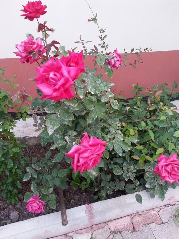 Keramos Pansiyon Finike Exterior foto